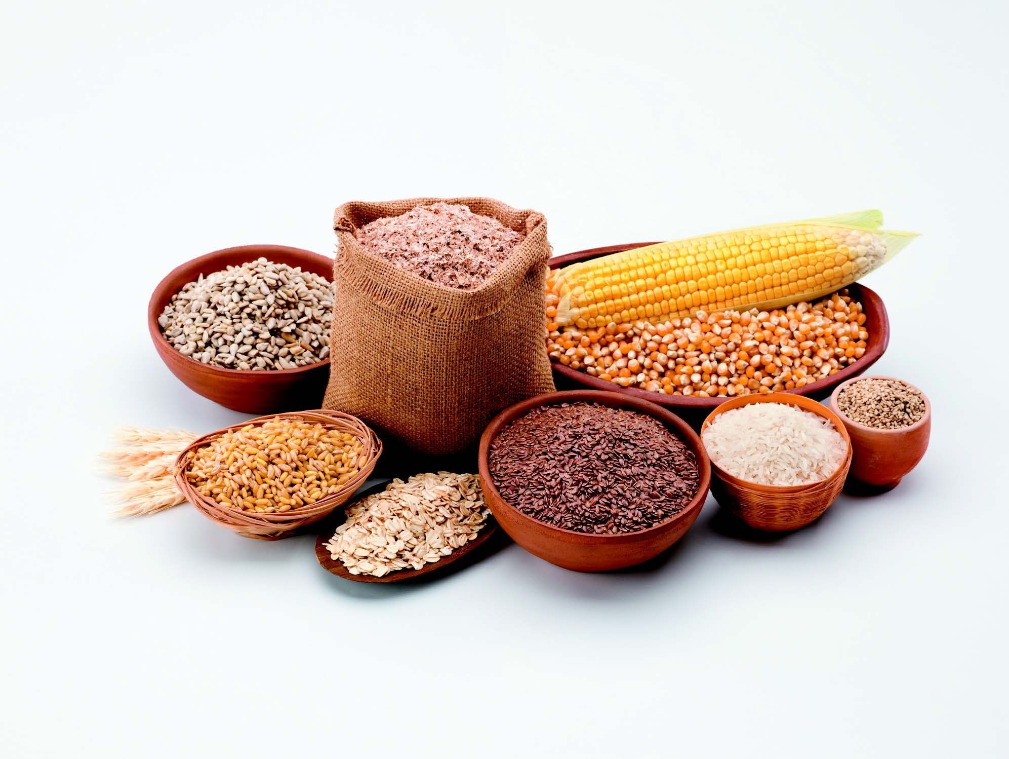 GRAINS