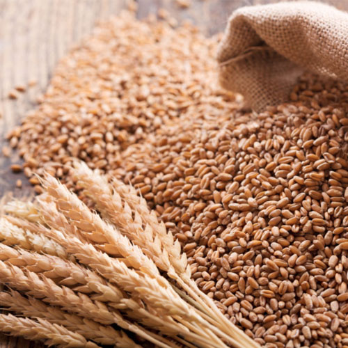 GRAINS