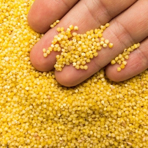Millet