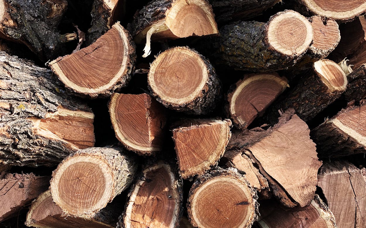 Wood